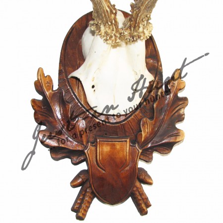 /products/podlozka-srnec-klasika-so-stitkom-a-listim-v-spodnej-casti-na-zrezanu-lebku/